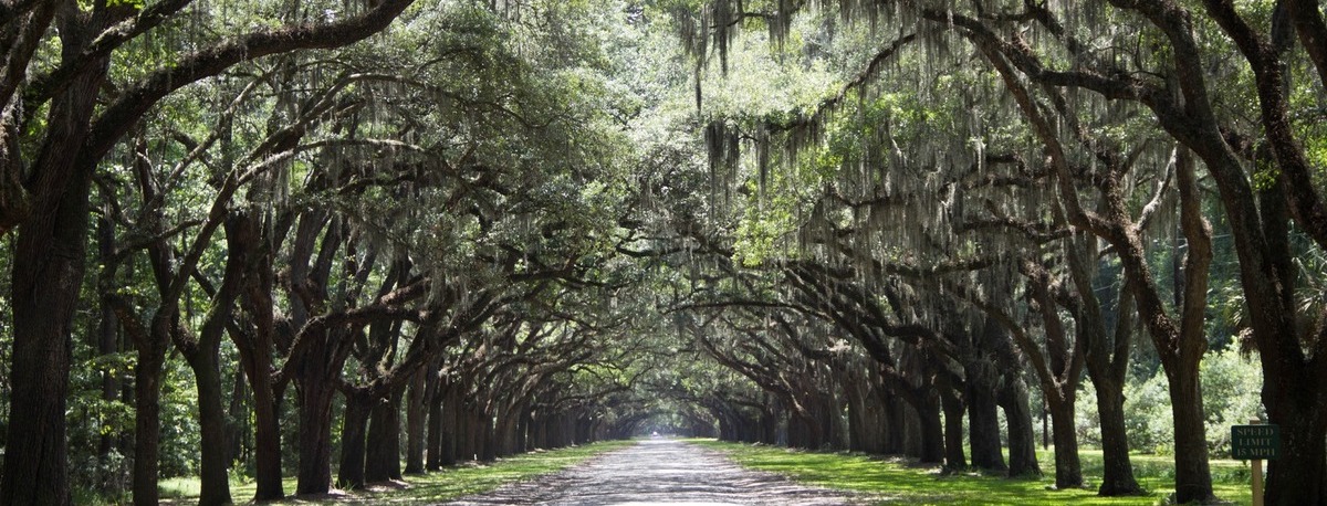 Deep South